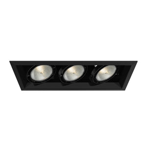 Eurofase - TE133-01 - MULT,PAR30,TRM,3LT,75W,BL/BLK - PAR30MULTI-GEN - Black