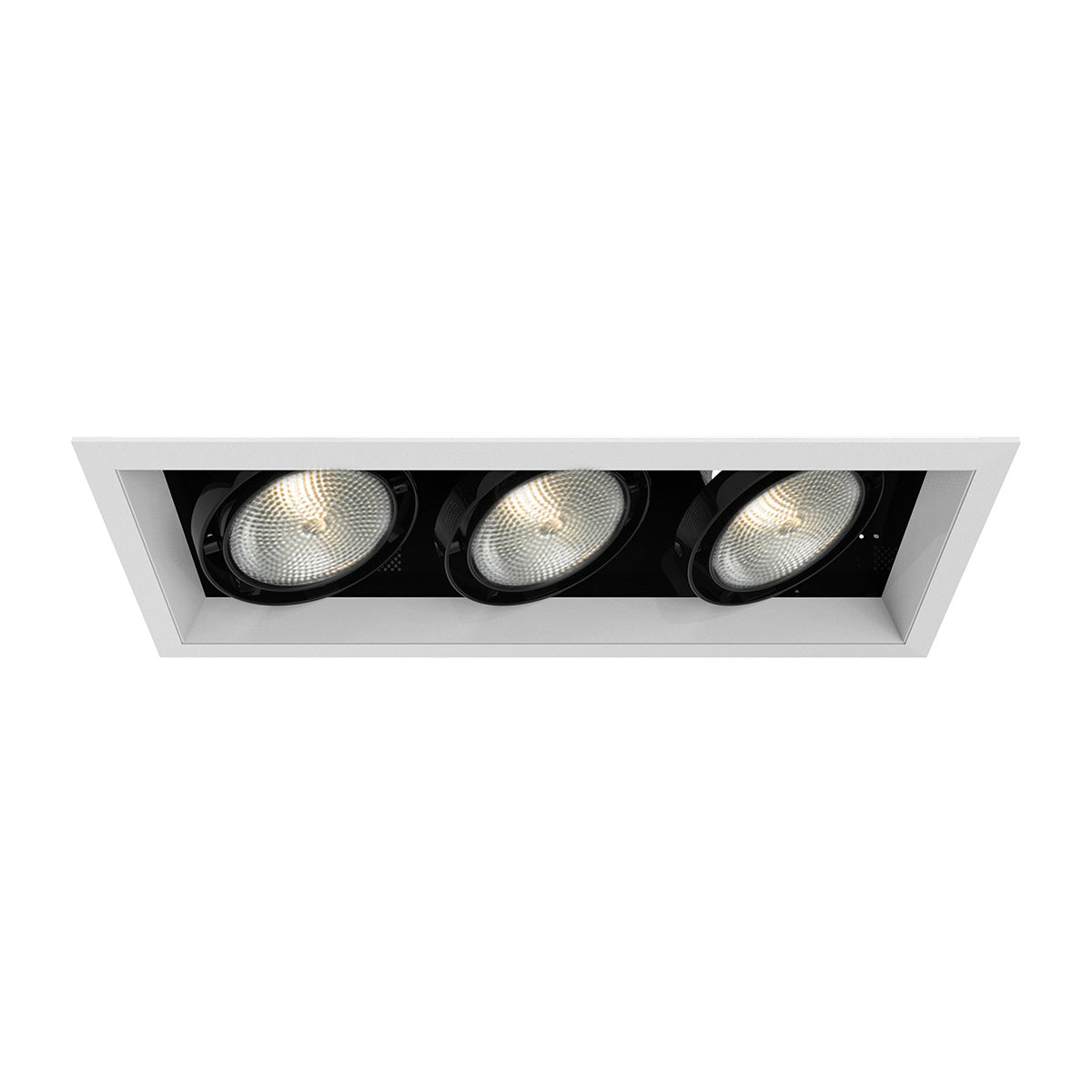 Eurofase - TE133-02 - MULT,PAR30,TRM,3LT,75W,WT/BLK - PAR30MULTI-GEN - White