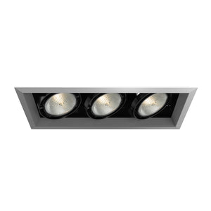 Eurofase - TE133-0N - MULT,PAR30,TRM,3LT,75W,PT/BLK - PAR30MULTI-GEN - Platinum