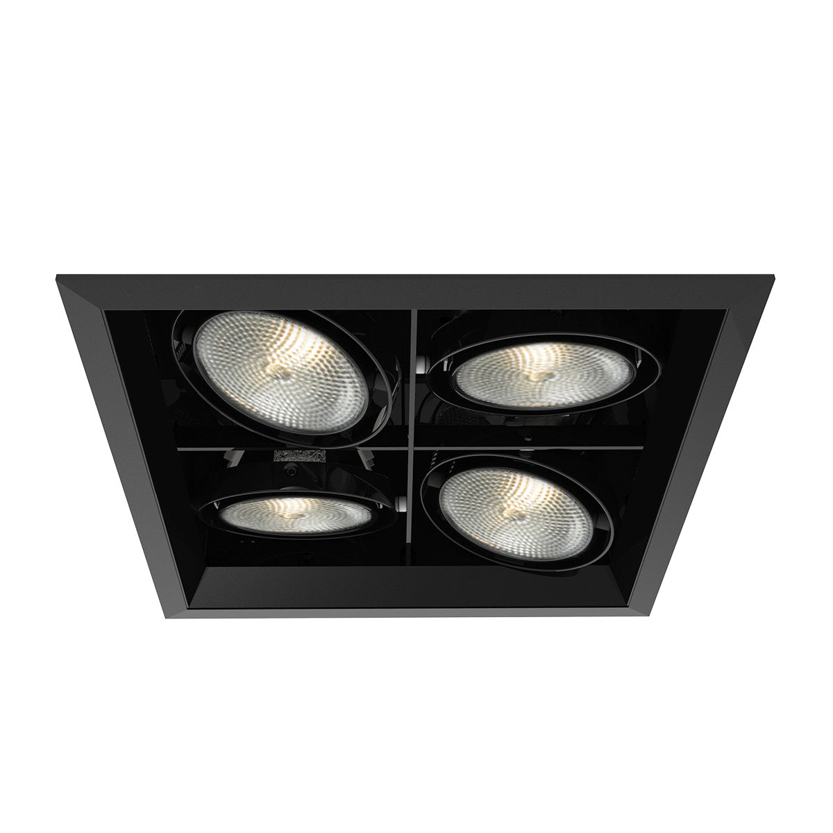 Eurofase - TE134B-01 - MULT,PAR30,TRM,4LT,SQ,BLK/BLK - PAR30MULTI-GEN - Black