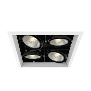 Eurofase - TE134B-02 - MULT,PAR30,TRM,4LT,SQ,WHT/BLK - PAR30MULTI-GEN - White