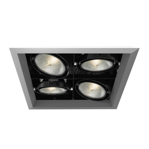 Eurofase - TE134B-0N - MULT,PAR30,TRM,4LT,SQ,PT/BLK - PAR30MULTI-GEN - Platinum