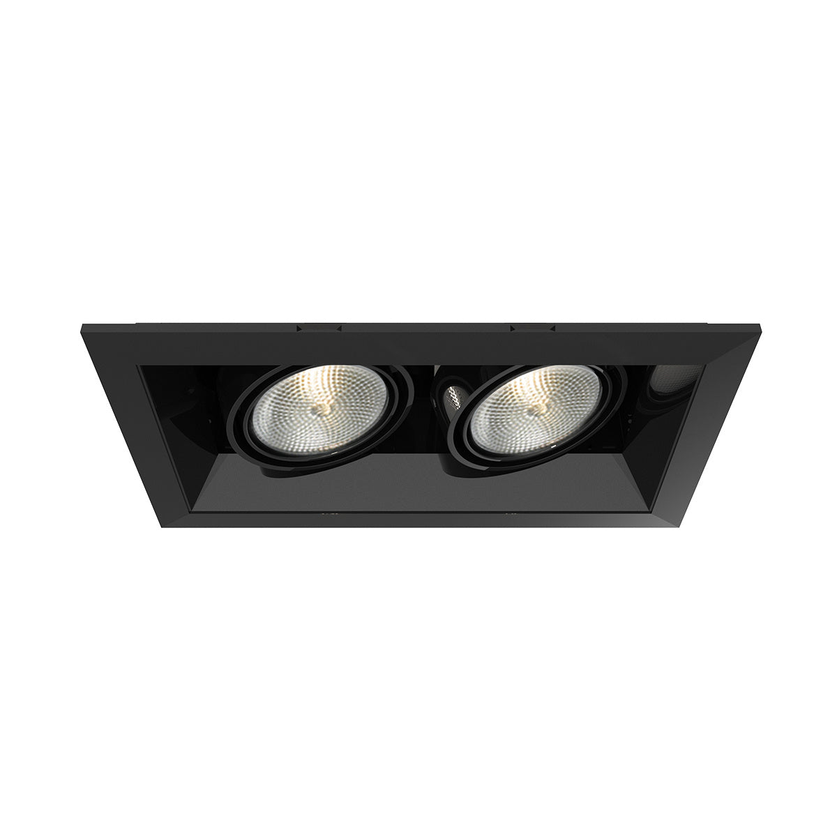 Eurofase - TE162-01 - MULT,PAR20,TRM,2LT,50W,BL/BLK - PAR20MULTI-GEN - Black