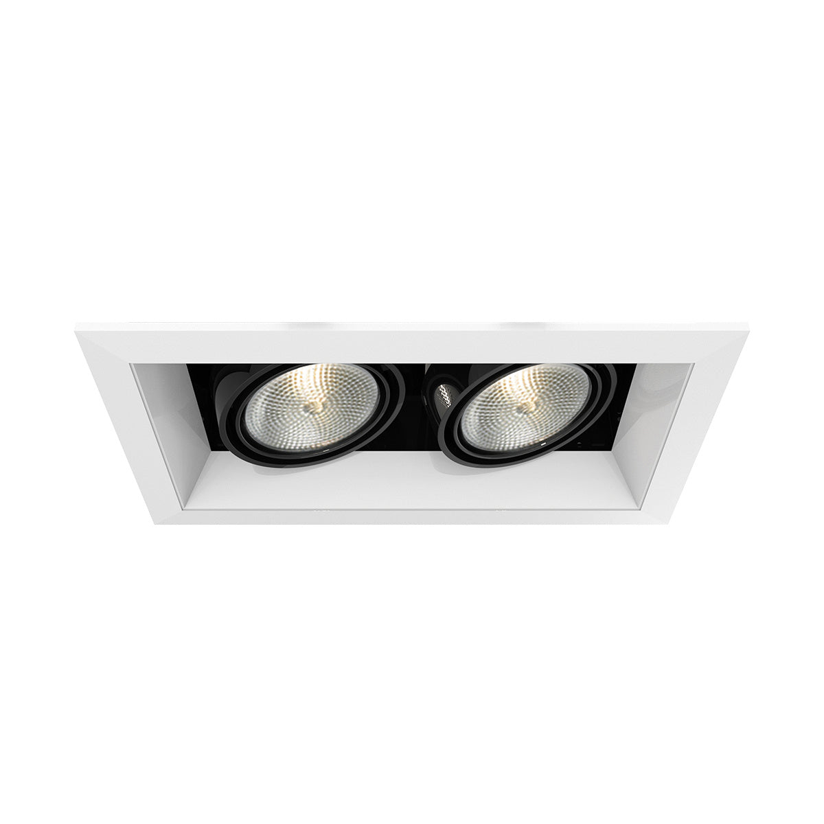 Eurofase - TE162-02 - MULT,PAR20,TRM,2LT,50W,WH/BLK - PAR20MULTI-GEN - White