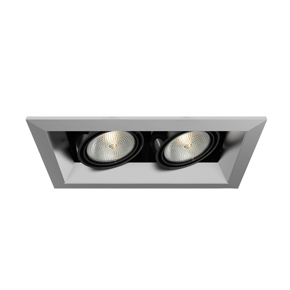 Eurofase - TE162-0N - MULT,PAR20,TRM,2LT,50W,PT/BLK - PAR20MULTI-GEN - Platinum