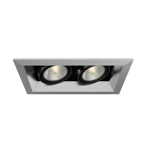 Eurofase - TE162-0N - MULT,PAR20,TRM,2LT,50W,PT/BLK - PAR20MULTI-GEN - Platinum