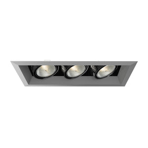 Eurofase - TE163-0N - MULT,PAR20,TRM,3LT,50W,PT/BLK - PAR20MULTI-GEN - Platinum