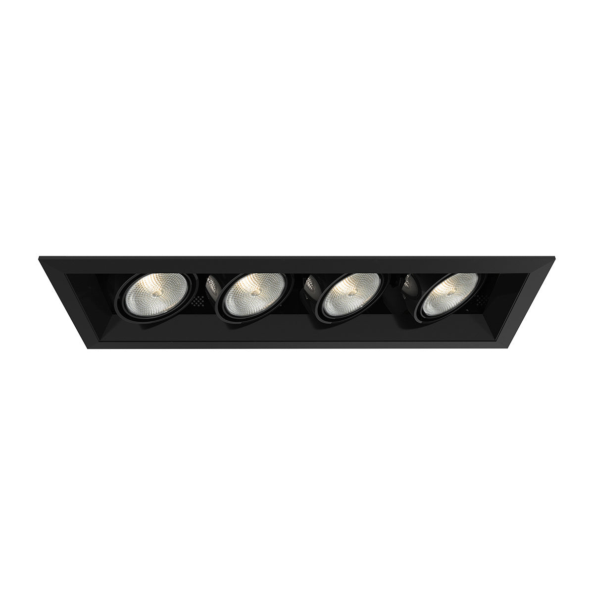 Eurofase - TE164A-01 - MULT,PAR20,TRM,4LT,50W,BL/BLK - PAR20MULTI-GEN - Black