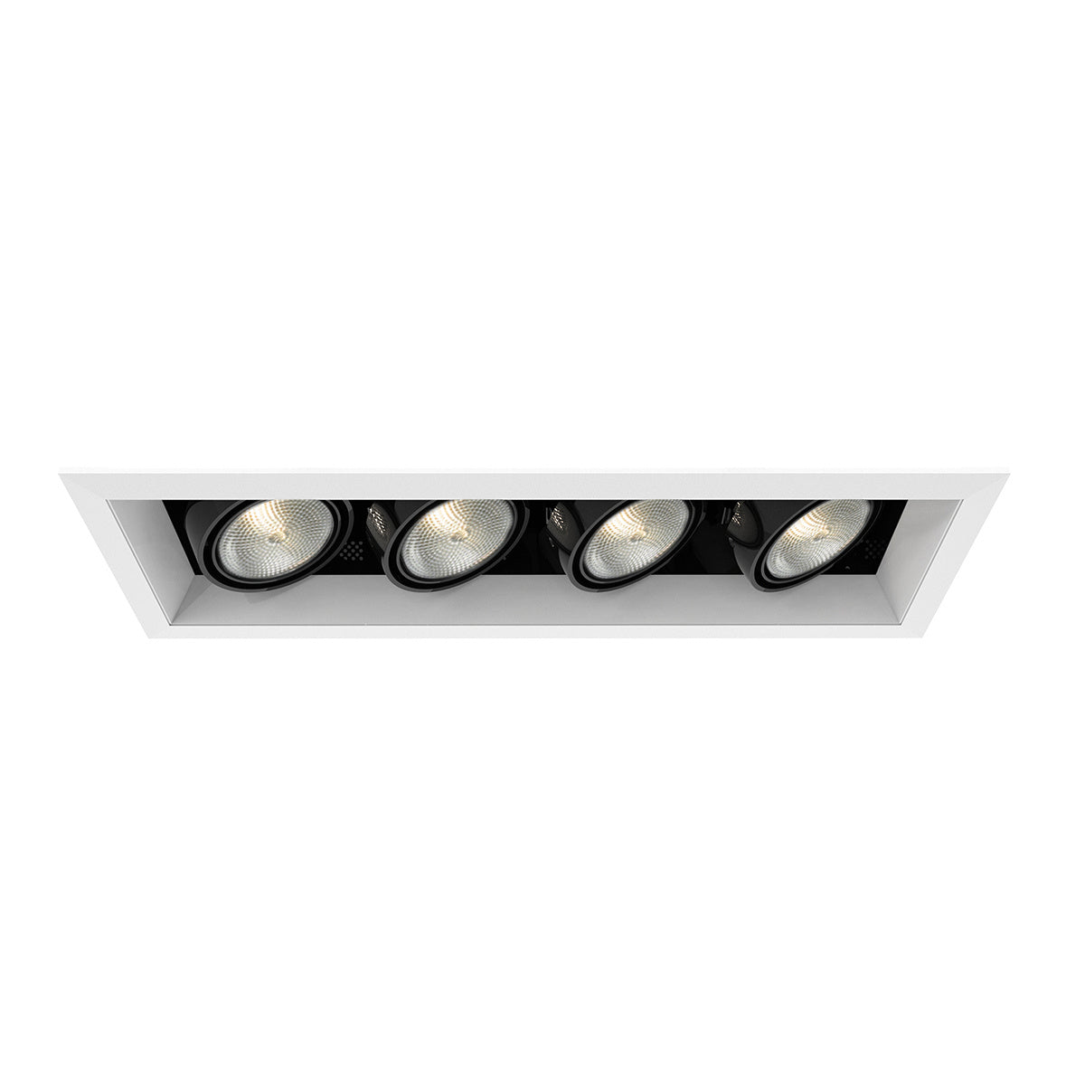 Eurofase - TE164A-02 - MULT,PAR20,TRM,4LT,50W,WH/BLK - PAR20MULTI-GEN - White