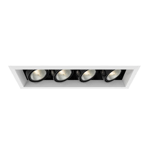 Eurofase - TE164A-02 - MULT,PAR20,TRM,4LT,50W,WH/BLK - PAR20MULTI-GEN - White