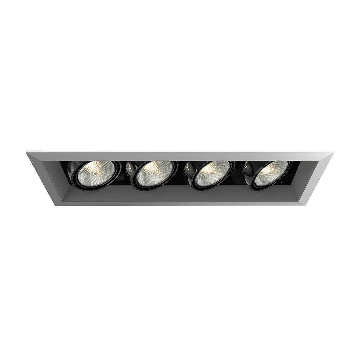 Eurofase - TE164A-0N - MULT,PAR20,TRM,4LT,50W,PT/BLK - PAR20MULTI-GEN - Platinum