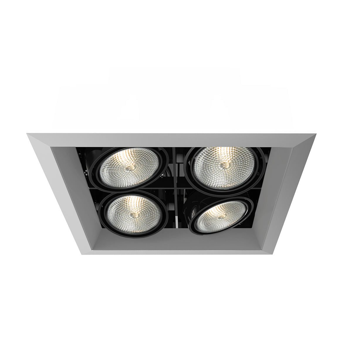 Eurofase - TE164B-0N - MULT,PAR20,TRM,4LT,SQ,PT/BLK - PAR20MULTI-GEN - Platinum