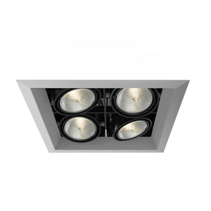 Eurofase - TE164B-0N - MULT,PAR20,TRM,4LT,SQ,PT/BLK - PAR20MULTI-GEN - Platinum
