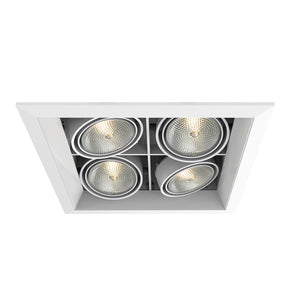 Eurofase - TE164B-22 - MULT,PAR20,TRM,4LT,SQ,WHT/WHT - PAR20MULTI-GEN - White
