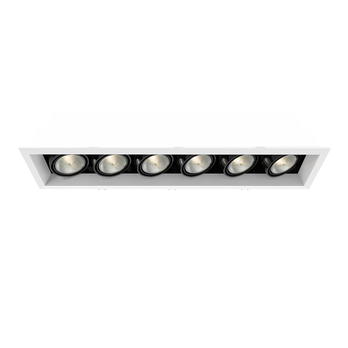Eurofase - TE166A-02 - MULT,PAR20,TRM,6LT,50W,WT/BLK - PAR20MULTI-GEN - White
