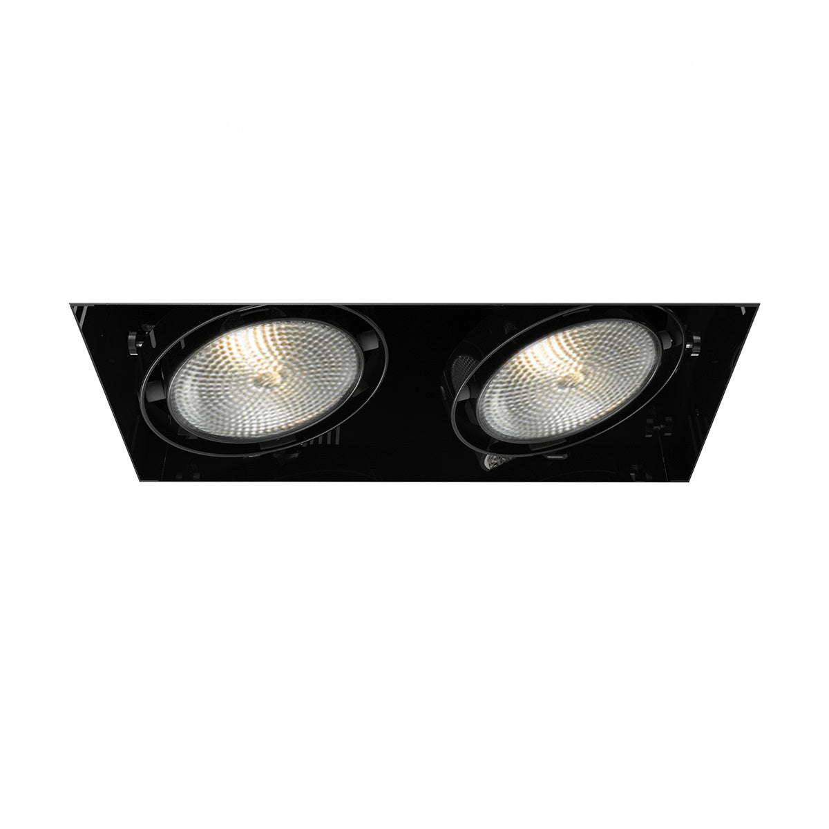 Eurofase - TE222-01 - MULT,PAR30,TRIMLSS,2LT,75W,BLK - PAR30MULTI-GEN - Black