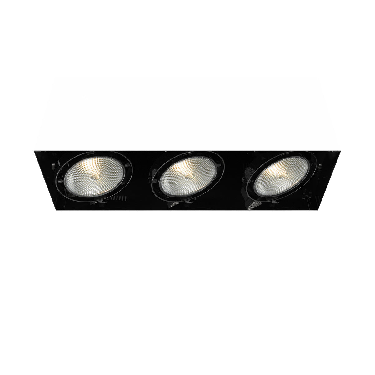 Eurofase - TE223-01 - MULT,PAR30,TRIMLSS,3LT,75W,BLK - PAR30MULTI-GEN - Black