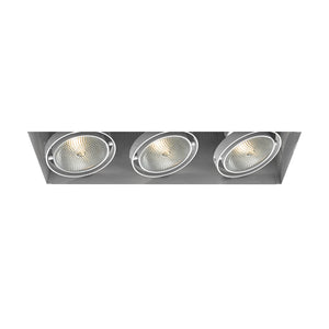 Eurofase - TE223-02 - MULT,PAR30,TRIMLSS,3LT,75W,WT - PAR30MULTI-GEN - White