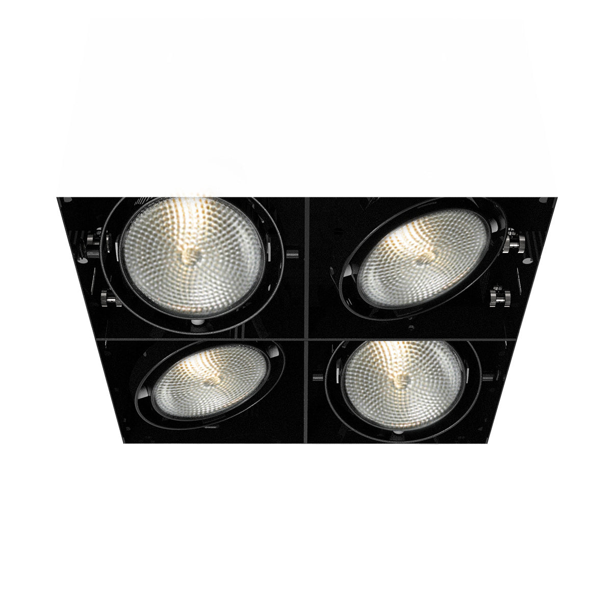 Eurofase - TE224B-01 - MULT,PAR30,TRIMLSS,4LT,75W,BLK - PAR30MULTI-GEN - Black