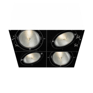 Eurofase - TE224B-01 - MULT,PAR30,TRIMLSS,4LT,75W,BLK - PAR30MULTI-GEN - Black