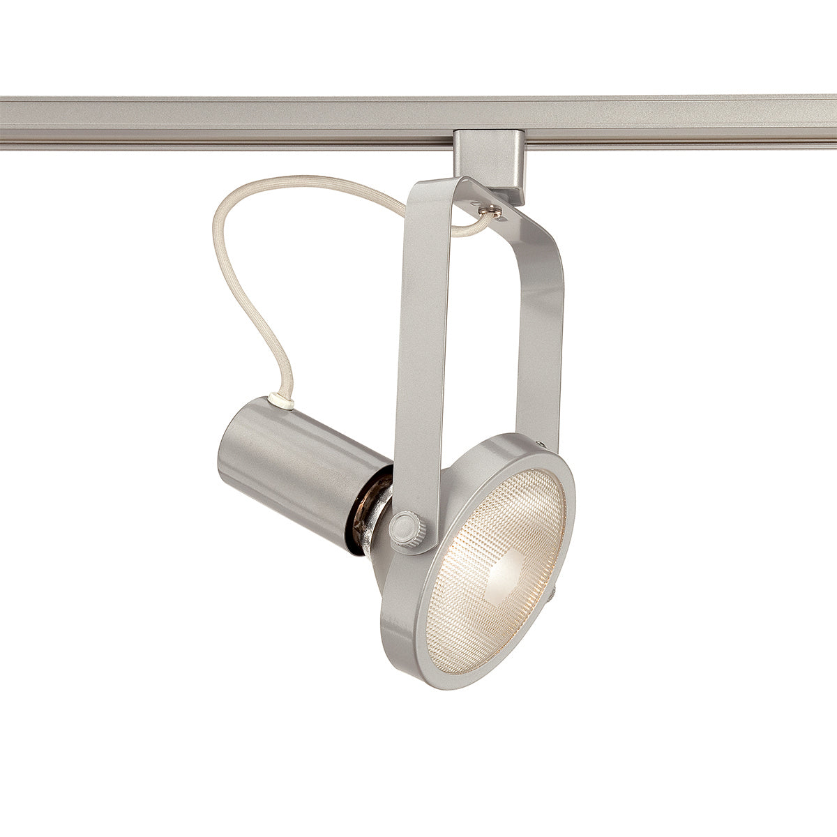 Eurofase - TK-HGP38-S5 - TRACKHEAD,PAR38,150W,PLATINUM - GIMBAL 38 - Platinum