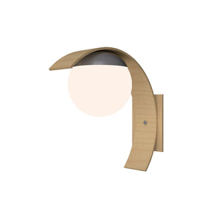 Accord Lighting - 416.34 - One Light Wall Lamp - Sfera - Maple