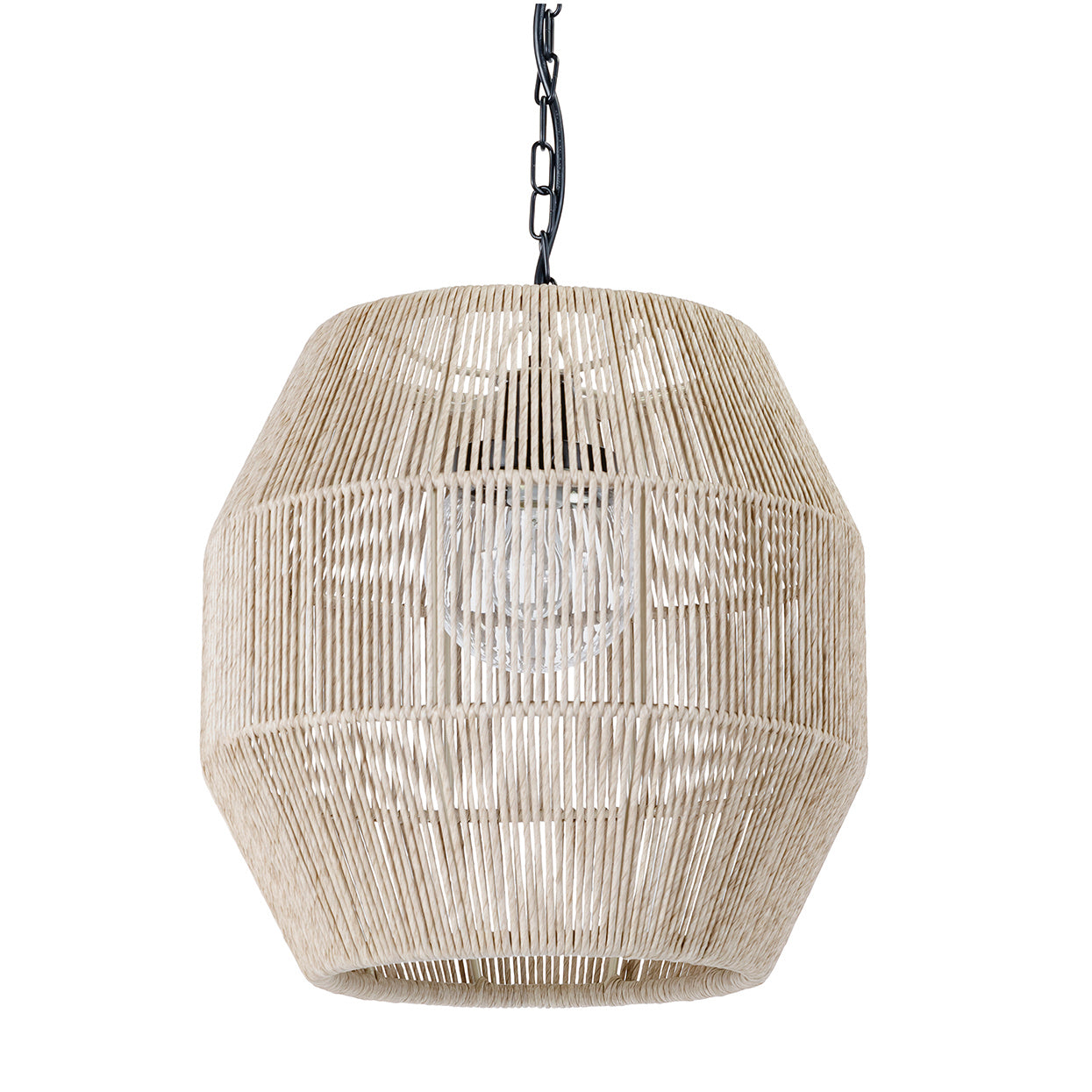Palecek - 2050-79 - Outdoor Pendant - Tanner - Black