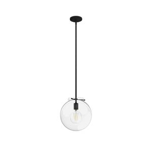 Hunter - 19660 - One Light Pendant - Sacha - Natural Black Iron
