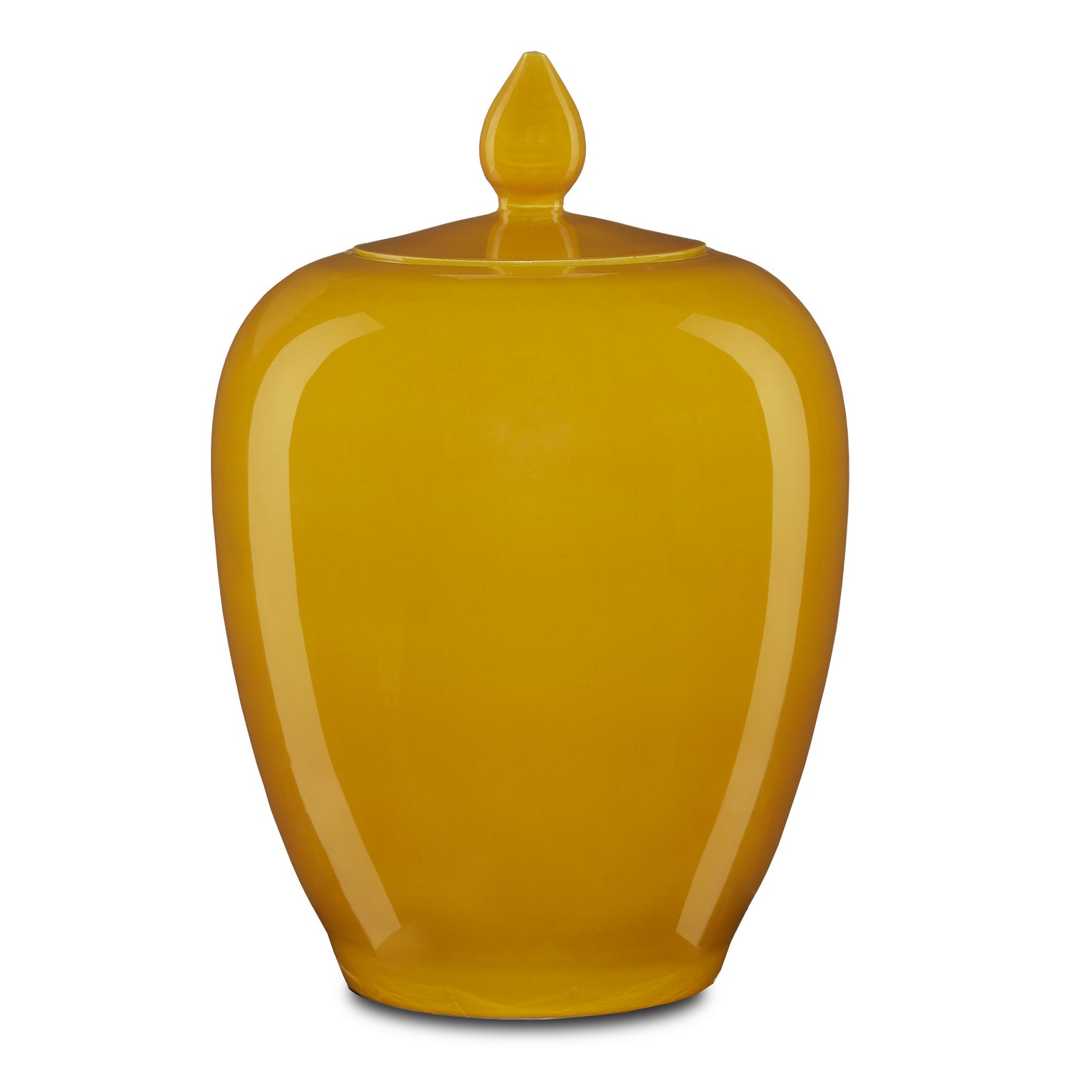 Currey and Company - 1200-0579 - Jar - Imperial - Yellow