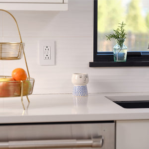 Legrand - WNRR15WH - Smart 15A Outlet with Netatmo - radiant - White