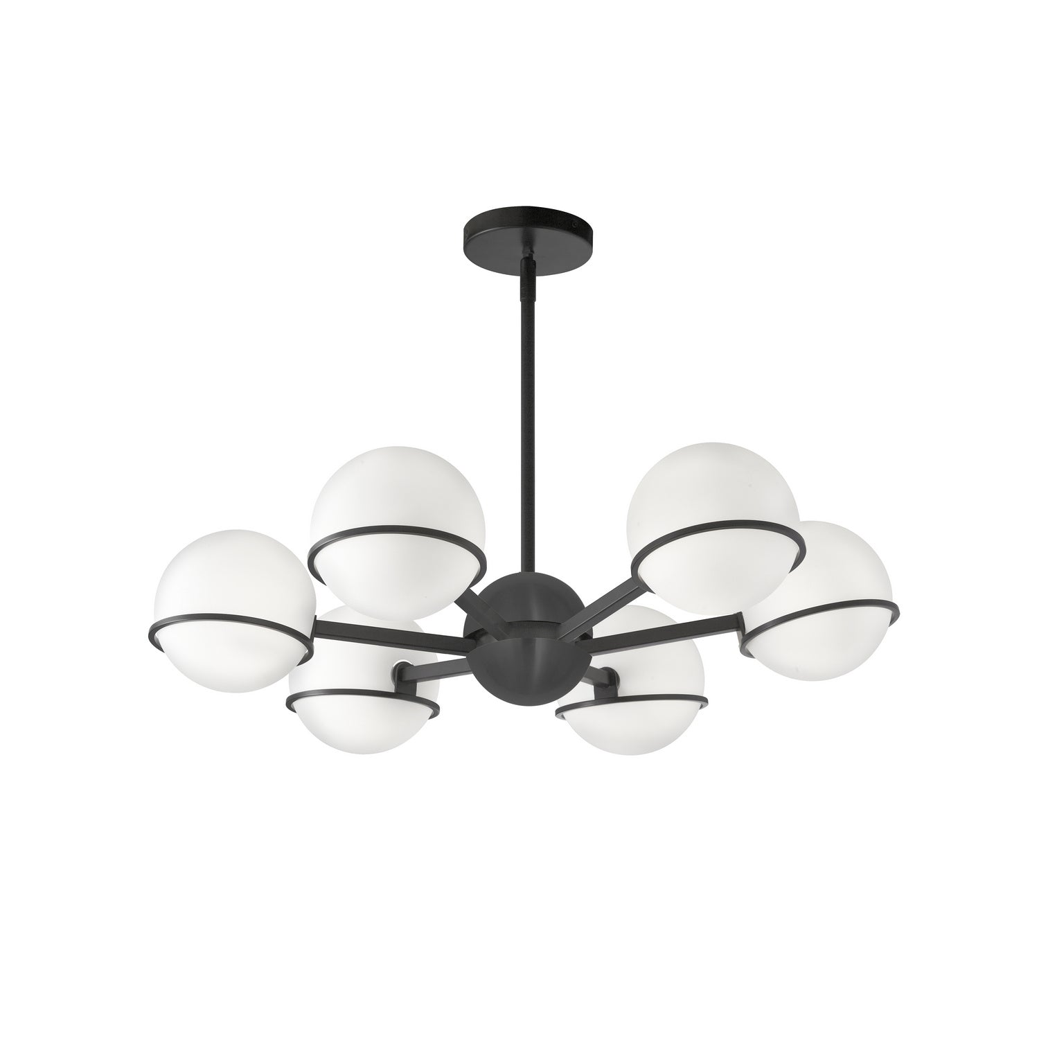 Dainolite Ltd - SOF-286C-MB - Six Light Chandelier - Sofia - Black