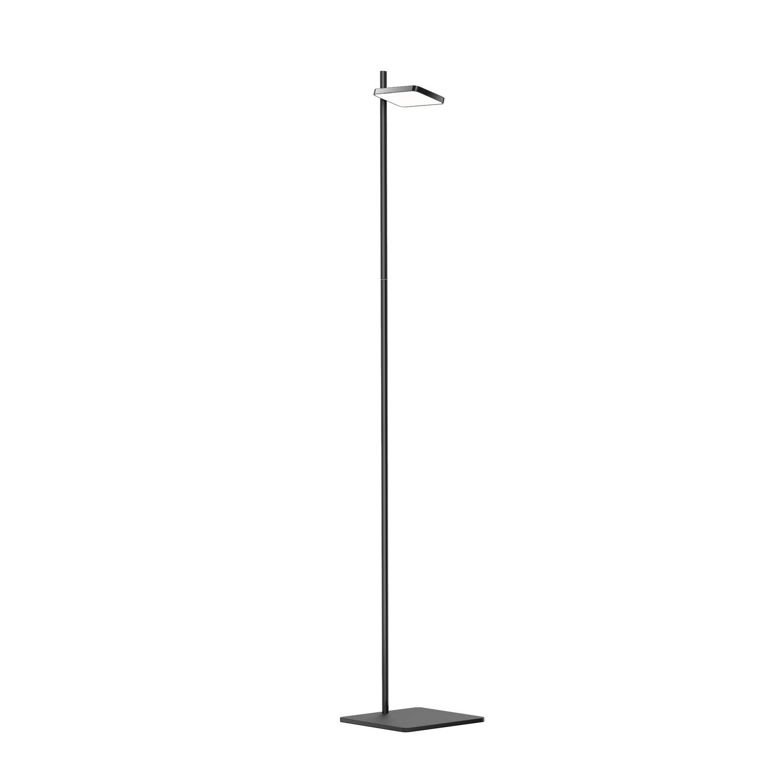 Pablo Designs - TALI FLR BLK - LED Floor Lamp - Talia - Black