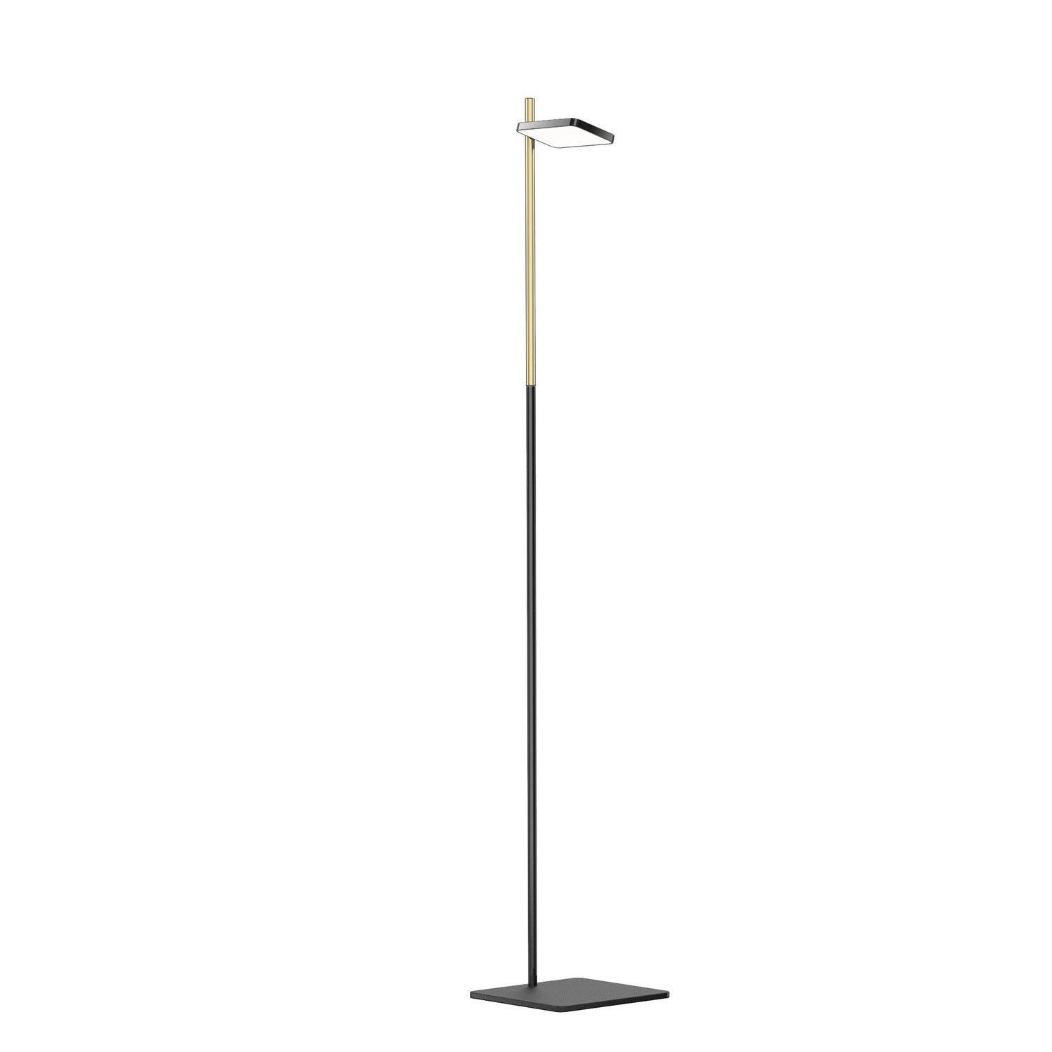 Pablo Designs - TALI FLR BLK/BRA - LED Floor Lamp - Talia - Black/Brass