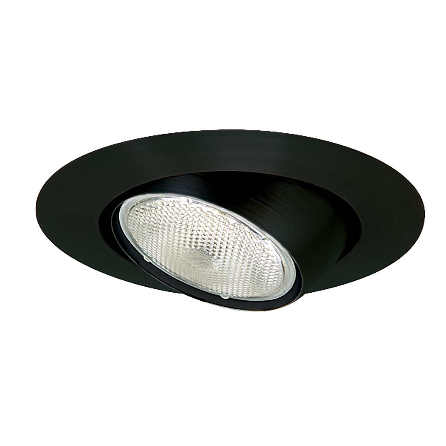 Nora Lighting - NT-28B - 6" Br/Par30 Eyeball W/ Metal Trim - Rec Inc 6" Trim - Black