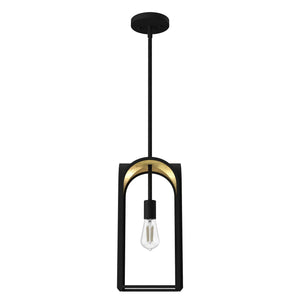 Hunter - 19737 - One Light Pendant - Dukestown - Natural Black Iron