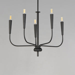 Maxim - 24815BK - Five Light Chandelier - Vela - Black