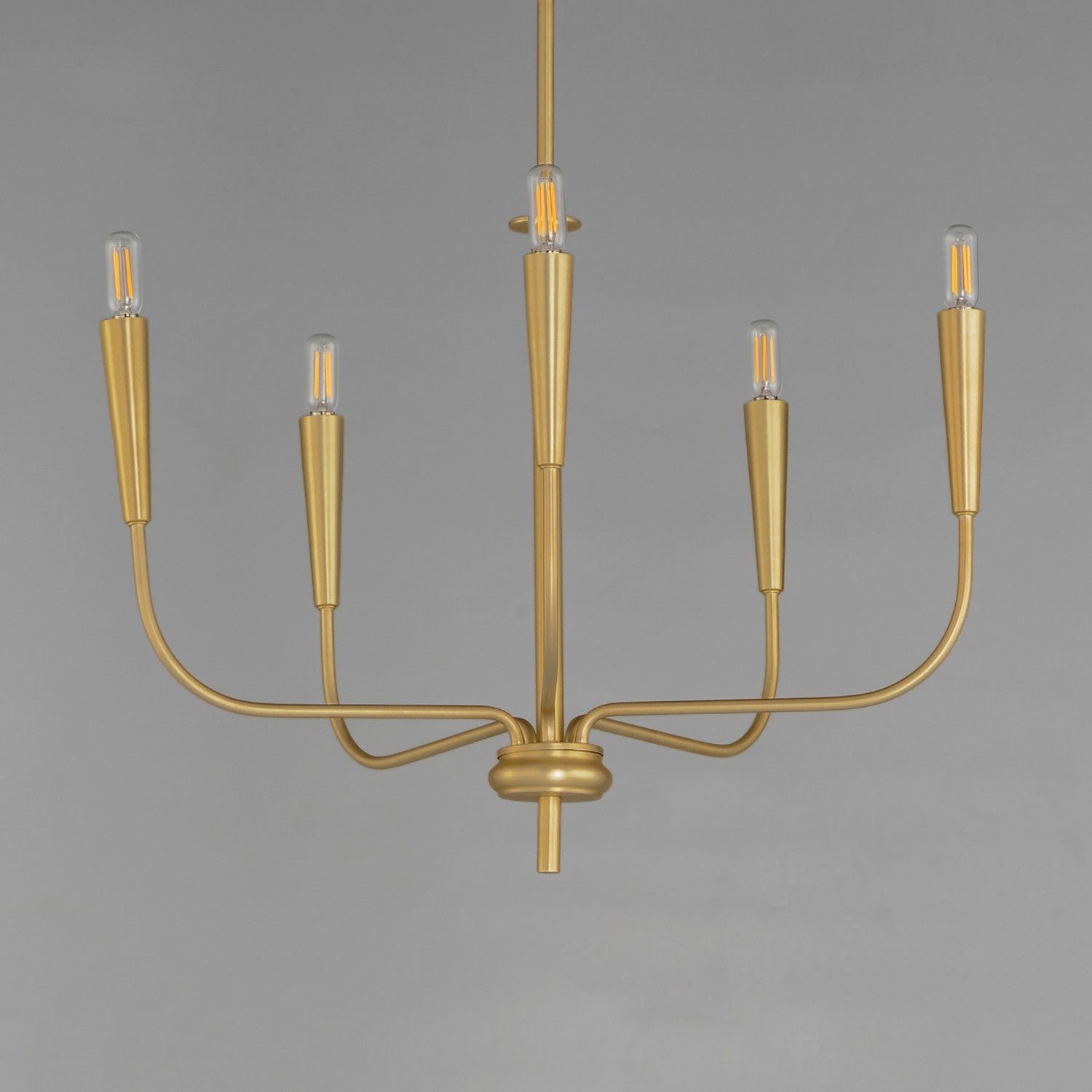 Maxim - 24815SBR - Five Light Chandelier - Vela - Satin Brass