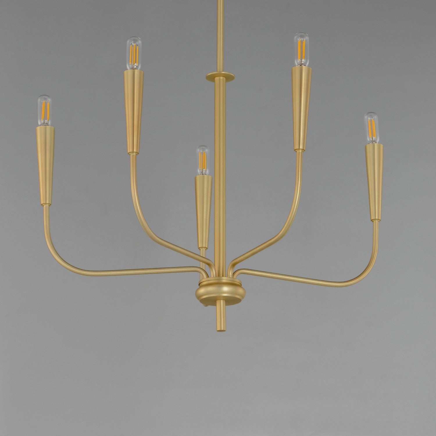 Maxim - 24815SBR - Five Light Chandelier - Vela - Satin Brass