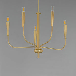 Maxim - 24815SBR - Five Light Chandelier - Vela - Satin Brass