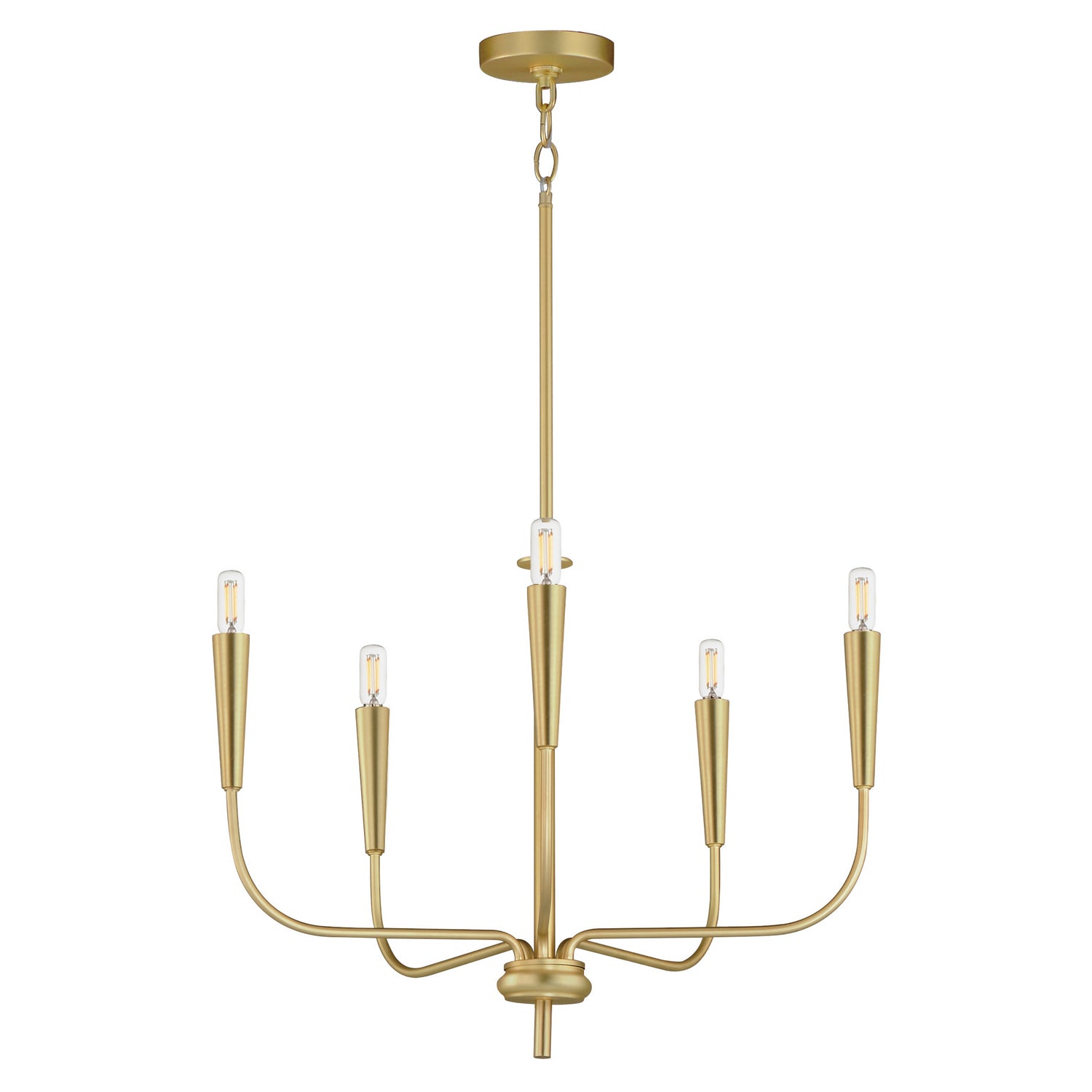 Maxim - 24815SBR - Five Light Chandelier - Vela - Satin Brass