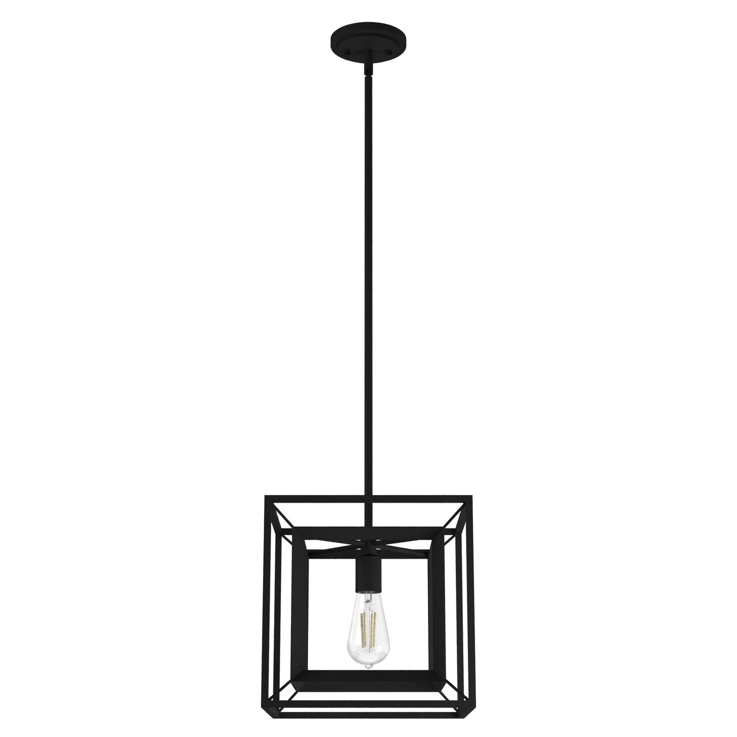 Hunter - 19406 - One Light Pendant - Doherty - Natural Black Iron
