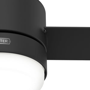 Hunter - 51844 - 44" Ceiling Fan - Gilmour - Matte Black