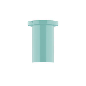 Montclair Light Works - FMD425-48 - One Light Flush Mount - Axis - Sea Green