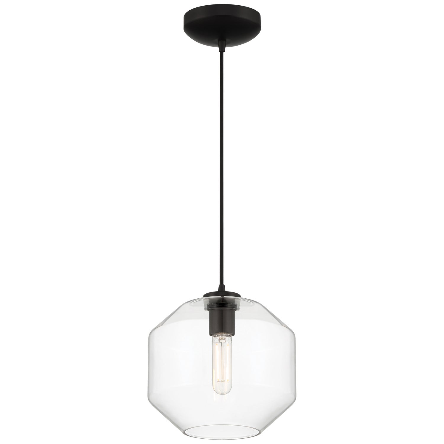 Access - 29011LEDDLP-BL/CLR - LED Pendant - Clarity - Black