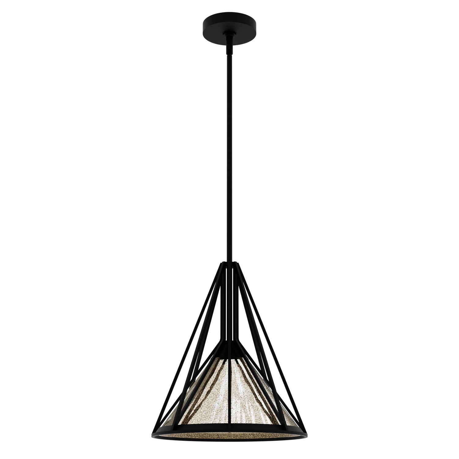 Hunter - 19451 - One Light Pendant - Rafner - Natural Black Iron