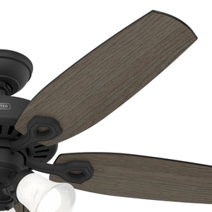 Hunter - 51110 - 52" Ceiling Fan - Builder - Matte Silver