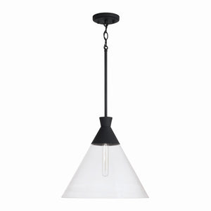 Capital Lighting - 350311XK - One Light Pendant - Paloma - Textured Black
