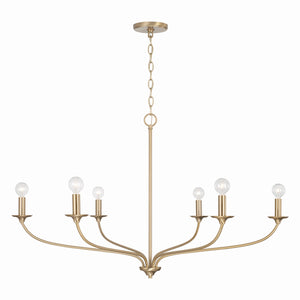 Capital Lighting - 449961MA - Six Light Chandelier - Dolan - Matte Brass