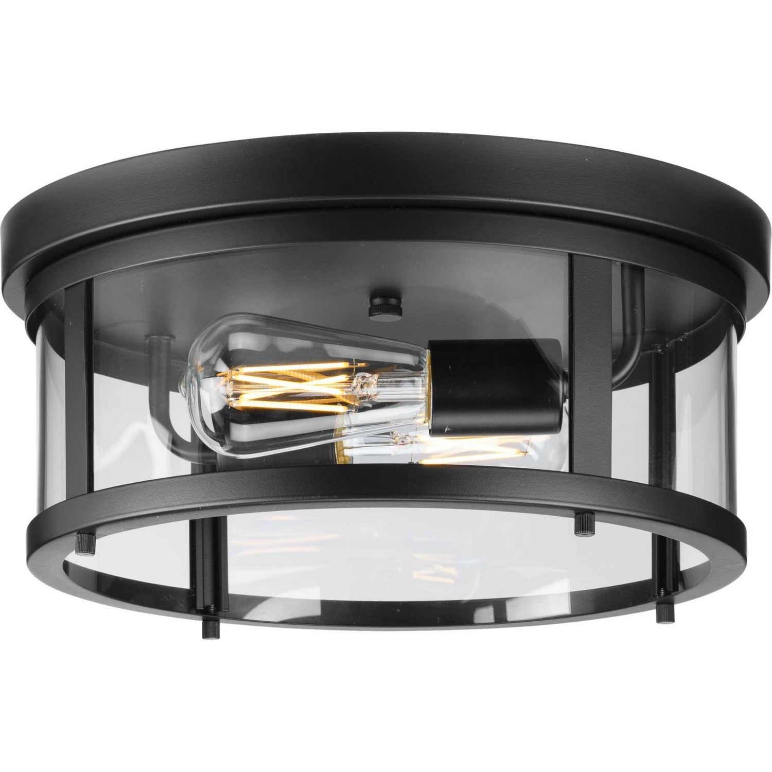 Progress Lighting - P550021-31M - Two Light Outdoor Flush Mount - Gunther - Matte Black