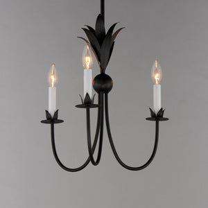 Maxim - 2883AR - Three Light Chandelier - Paloma - Anthracite